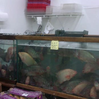 Asian Mart - Lots of fish - Grocery Near Me - Mundelein, Illinois Asian Mart - Lots of fish - Grocery Near Me - Mundelein, Illinois