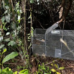 Wildlife Troopers - Looks to me like the cages are upside down or maybe the coyote would like to climb on top