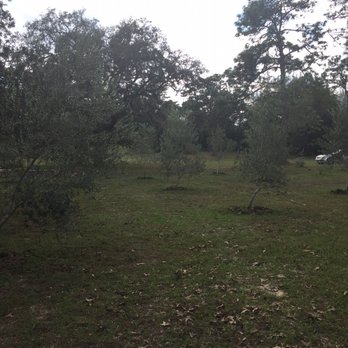 The Olive Grove - Venues & Event Spaces Near Me - Brooksville, Florida The Olive Grove - Venues & Event Spaces Near Me - Brooksville, Florida