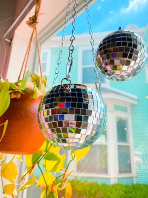 Common Dear (located inside Johnny and June) by null