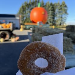 Swan Pumpkin Farm - Apple cider donuts, so fresh and delicious