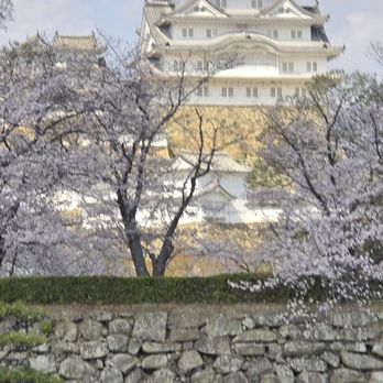 Non-Stop Travel - Tours Near Me - Honolulu, Hawaii