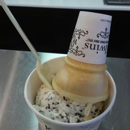 Toasted Coconut Ice Cream