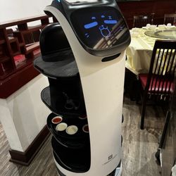 Jade Fountain Restaurant - Robot server