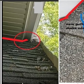 Lynxman - Left side Gap formed when new gutter to roof ratio was uneven allowing opening to house attic - Handyman Near Me Lynxman - Left side Gap formed when new gutter to roof ratio was uneven allowing opening to house attic - Handyman Near Me