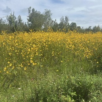 Pepper Ranch Preserve - Parks Near Me - Immokalee, Florida Pepper Ranch Preserve - Parks Near Me - Immokalee, Florida