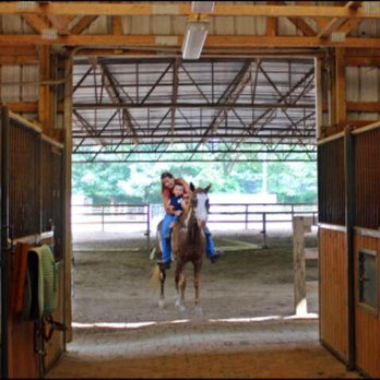 CodeBlue Farm - Horse Boarding Near Me - Central Islip, New York CodeBlue Farm - Horse Boarding Near Me - Central Islip, New York