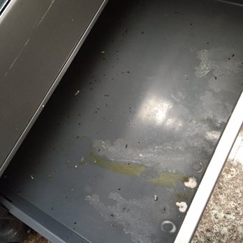 Evans Pest Control - Mouse droppings in oven - Pest Control Near Me - Philadelphia, Pennsylvania Evans Pest Control - Mouse droppings in oven - Pest Control Near Me - Philadelphia, Pennsylvania