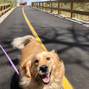 Franciscan Trail - Franciscan Trail is dog friendly! - Hiking Near Me - Beech Grove, Indiana Franciscan Trail - Franciscan Trail is dog friendly! - Hiking Near Me - Beech Grove, Indiana