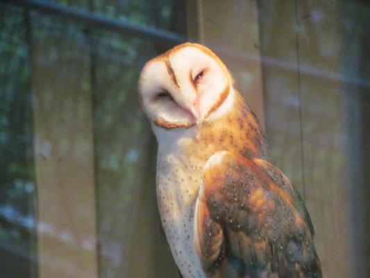 Pittsburgh Zoo & Aquarium by null