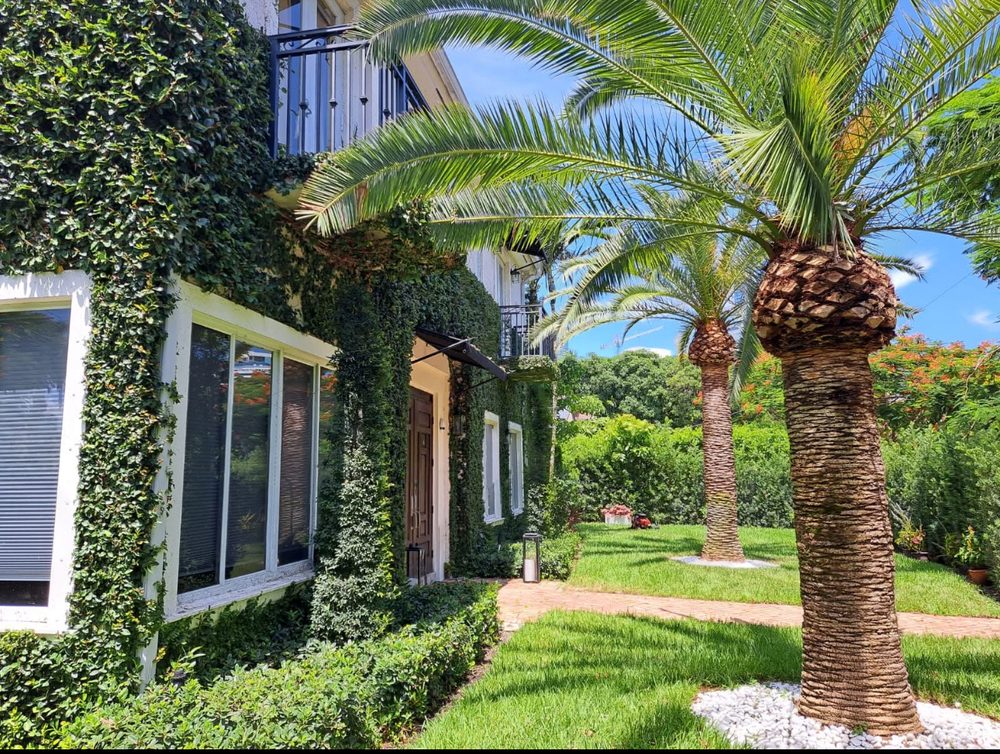 Island's Lawn & Garden - tree service in Miami, FL