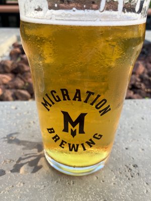 Migration Brewing x Pápa's Frita - Williams by null