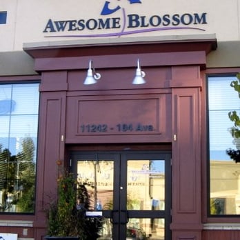 Awesome Blossom - Bella blossoms. - Florists Near Me - Edmonton, Alberta Awesome Blossom - Bella blossoms. - Florists Near Me - Edmonton, Alberta