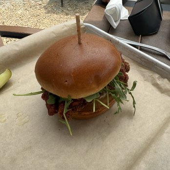 Hellbender Bed & Beverage - Chicken Sandwich - Hotels Near Me - Blowing Rock, North Carolina
