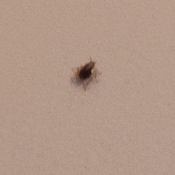 Grub Brothers Eatery - Cockroach - American Near Me - Washington, North Carolina