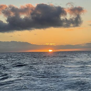Kauai Sea Tours - Boating Near Me - Eleele, Hawaii