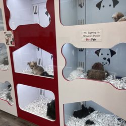 Pet Fair