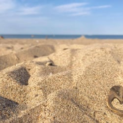 Nickel Plate Beach - Nickel Plate Beach