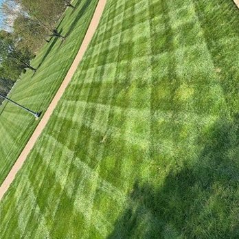 Rango Tree - Tree Services Near Me - Chattanooga, Tennessee Rango Tree - Tree Services Near Me - Chattanooga, Tennessee