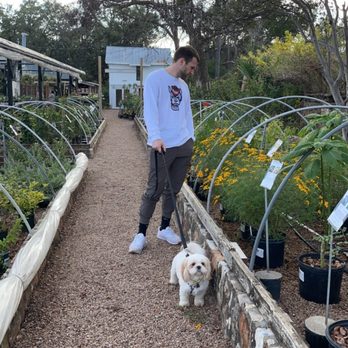 Barton Springs Nursery - Nurseries & Gardening Near Me - Austin, Texas