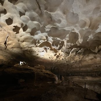 Inner Space Cavern - ceiling of the cave - Tours Near Me - Georgetown, Texas