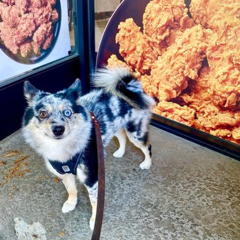 bb.q Chicken Burbank - Indie loves bb.q Chicken, one table outside for the furkids - Chicken Shop Near Me - Burbank, California bb.q Chicken Burbank - Indie loves bb.q Chicken, one table outside for the furkids - Chicken Shop Near Me - Burbank, California