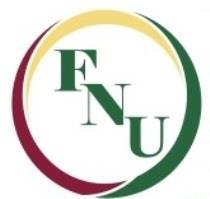 Florida visual data 4