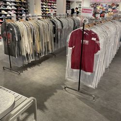 Diplomatic 1750 - Rosemont - Shirts and shoes