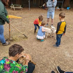 Pony Ranch Parties