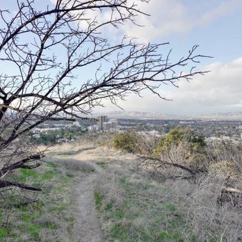 Deervale-Stone Canyon Park - Hiking Near Me - Los Angeles, California