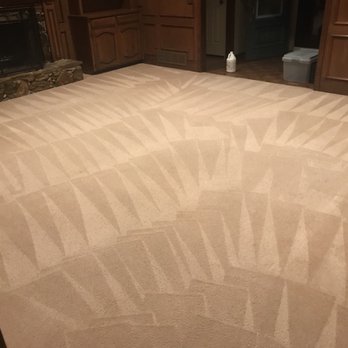 Protex Carpet & Floor Care - Carpet Cleaning Near Me