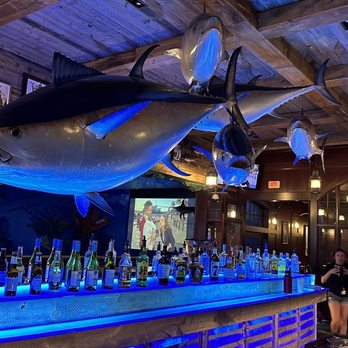 Uncle Buck's Fishbowl & Grill - Blue fin tuna over the bar. Bartender was very helpful - American Near Me - Round Rock, Texas Uncle Buck's Fishbowl & Grill - Blue fin tuna over the bar. Bartender was very helpful - American Near Me - Round Rock, Texas