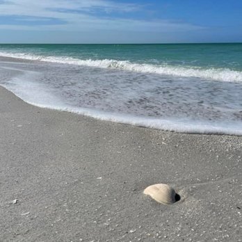 Cabbage Key - Coffee & Tea Near Me - Pineland, Florida