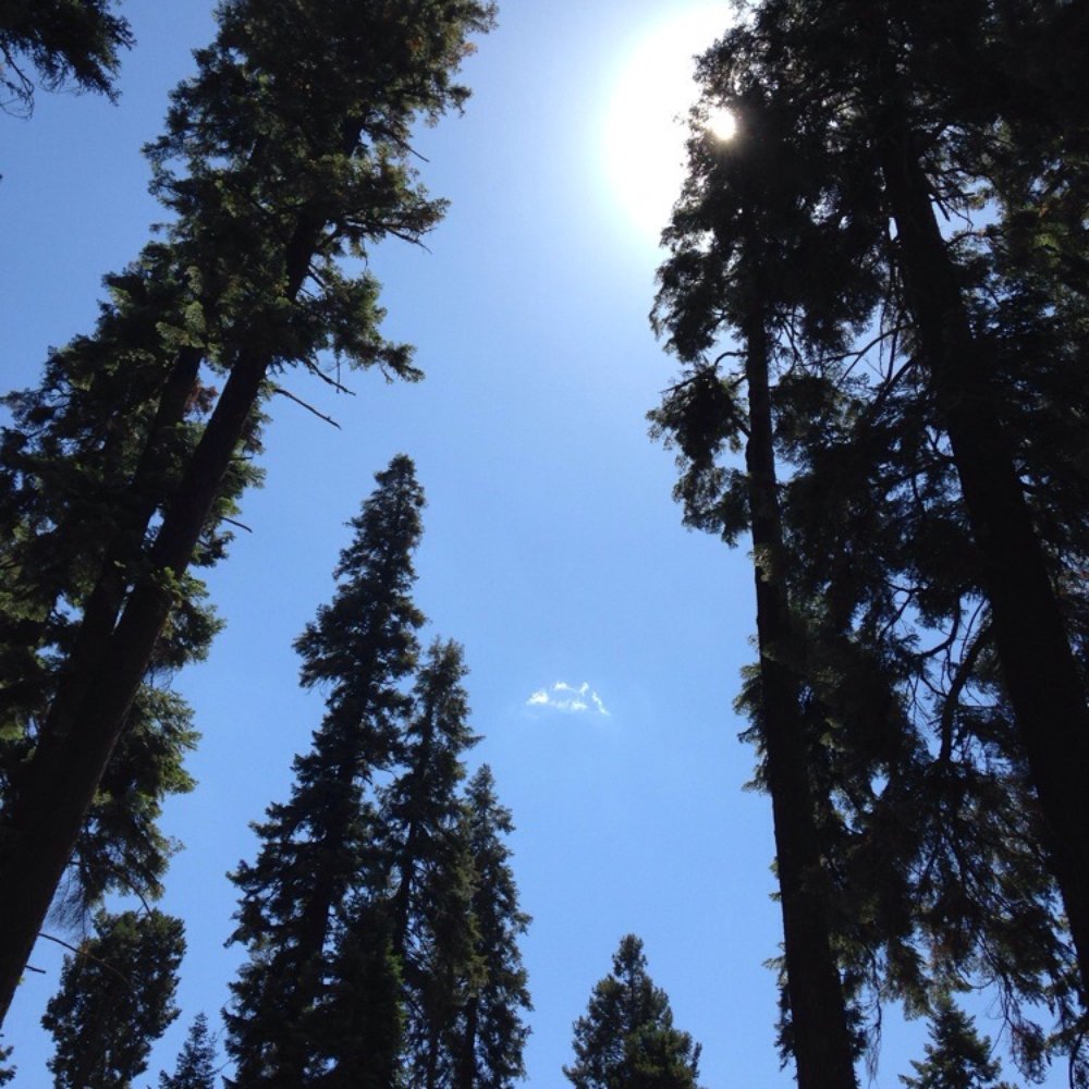 Silver City Mountain Resort - Resorts Near Me - Three Rivers, California Silver City Mountain Resort - Resorts Near Me - Three Rivers, California