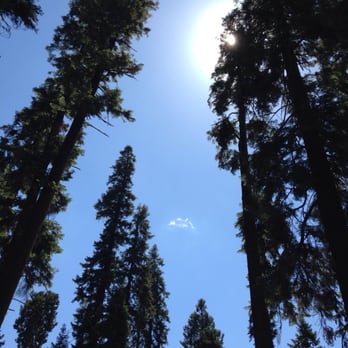 Silver City Mountain Resort - Resorts Near Me - Three Rivers, California Silver City Mountain Resort - Resorts Near Me - Three Rivers, California