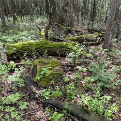 Osceola-Chisago Loop Trailhead