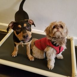 Hank having fun with his friends at daycare!