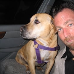 Limo Kings Limousine Service - The original 5 star dog