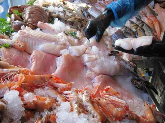 Fin and Flounder by null