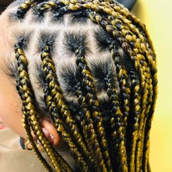 The Hair Marqui