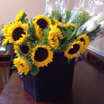 Hunts Point Flower Market - Florists Near Me - Bronx, New York Hunts Point Flower Market - Florists Near Me - Bronx, New York