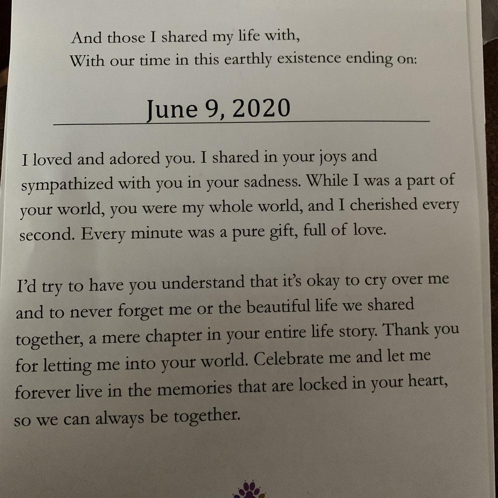Fond Memories - Harley. 6-9-20 - Pet Cremation Services Near Me - Austin, Texas