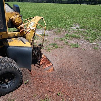 Aggressive Tree Pros & Stump Grinding - Tree Services Near Me Aggressive Tree Pros & Stump Grinding - Tree Services Near Me