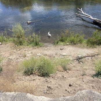 Wildwood Native Park - River running along the trail - Parks Near Me - Madera, California