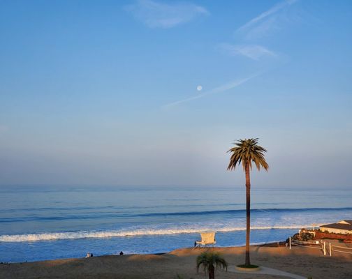 Moonlight State Beach by null