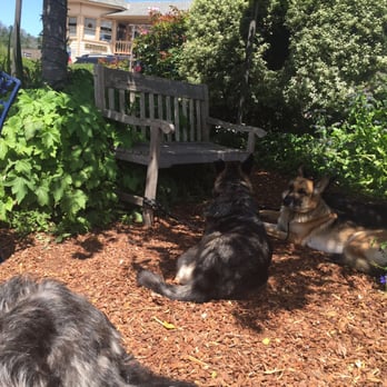 Robins Restaurant - Dog friendly - New American Near Me - Cambria, California Robins Restaurant - Dog friendly - New American Near Me - Cambria, California