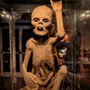 Photo of Savannah Paranormal Museum