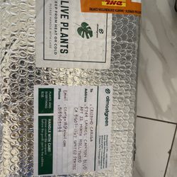 DHL Express