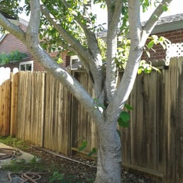 before picture before picture