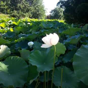 Grounds For Sculpture - Museums Near Me - Hamilton, New Jersey